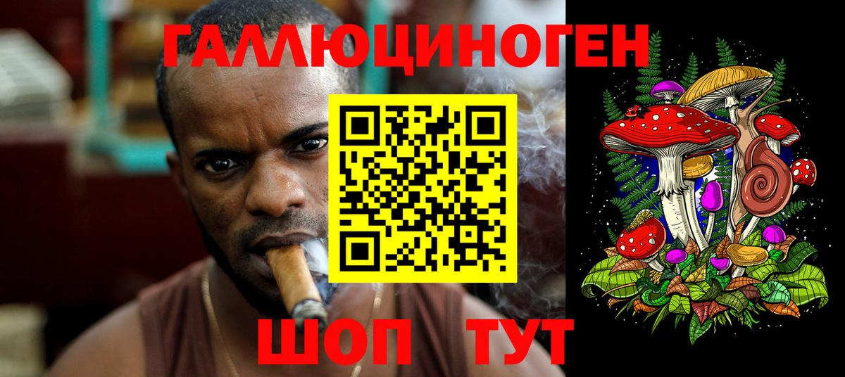 Галлюциногенные грибы MAGIC MUSHROOMS Грязи
