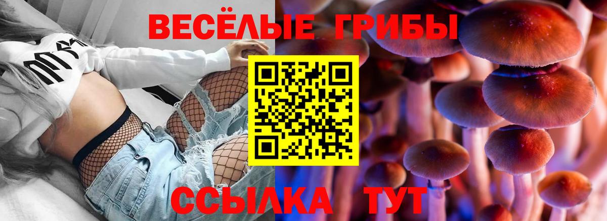 Грязи  наркота  Вход с VPN  Галлюциногенные грибы мицелий 